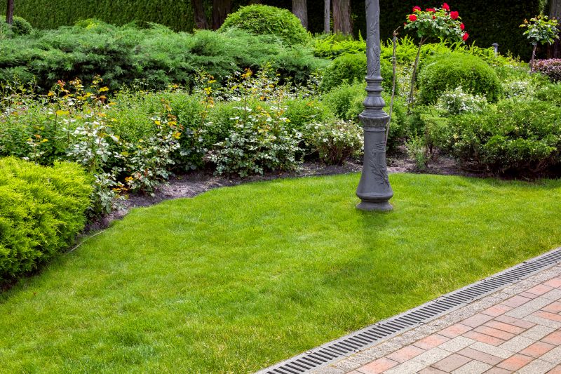 Landscape Drainage in Tuscaloosa, AL