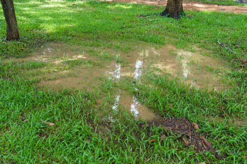 Landscaping Drainage Installation in Tuscaloosa, AL